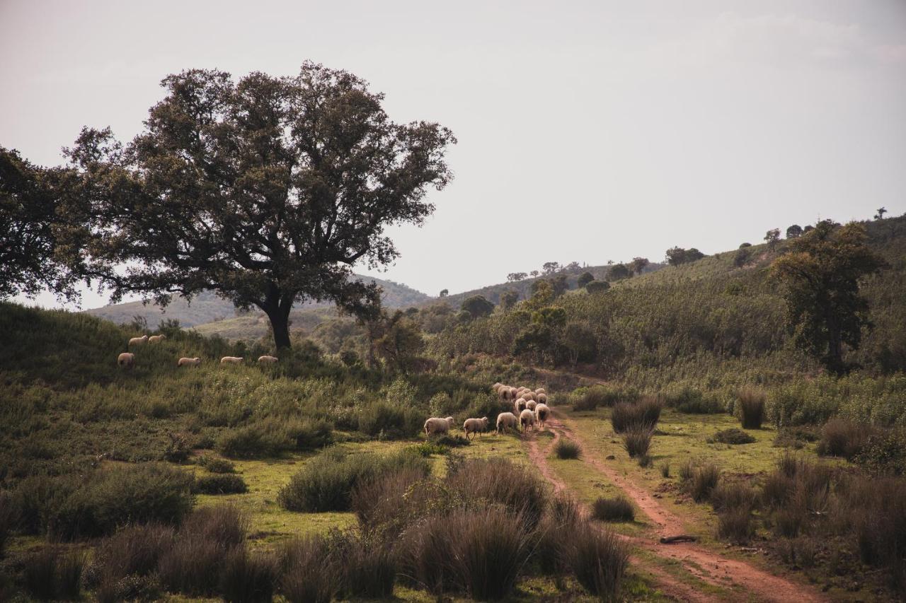 Quinta Do Freixo Villa Benafim Buitenkant foto