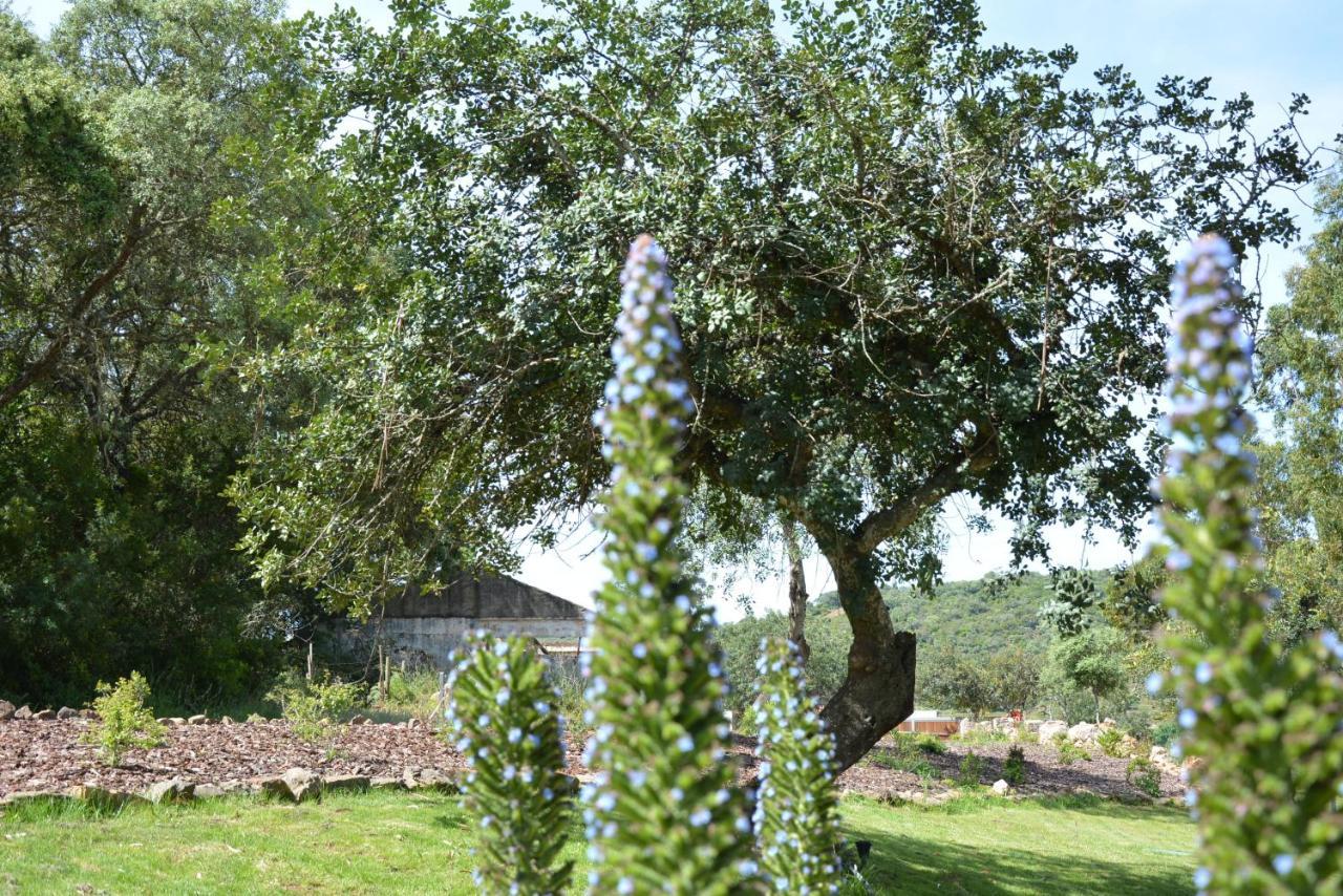 Quinta Do Freixo Villa Benafim Buitenkant foto